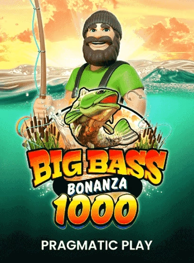 Bonus video slot cover